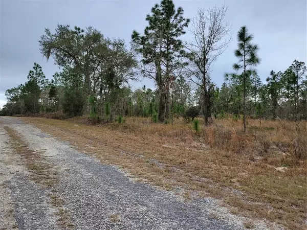 Dunnellon, FL 34431,Lot 1&2 SE 134TH CT