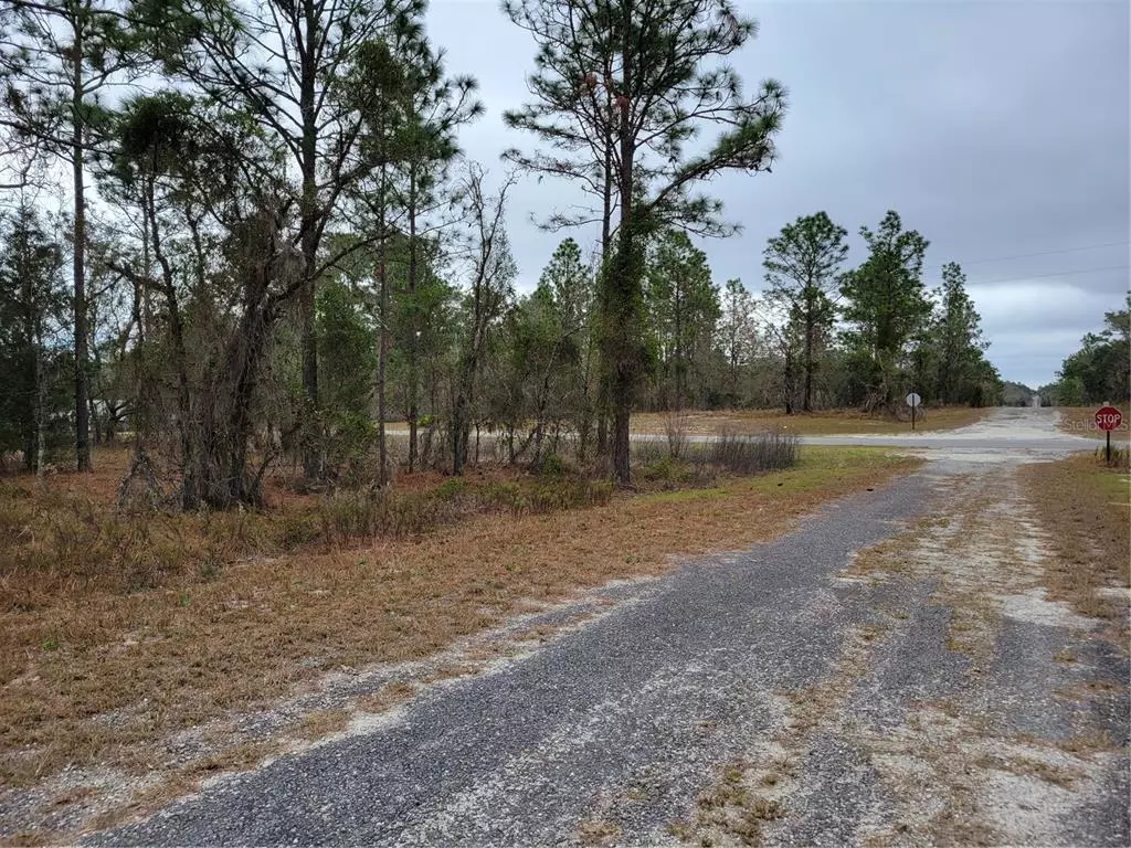 Dunnellon, FL 34431,Lot 1&2 SE 134TH CT