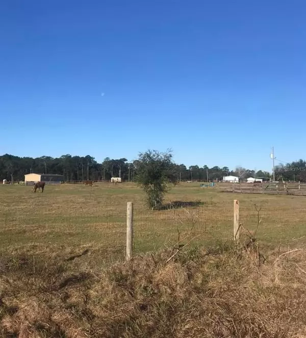 Ocklawaha, FL 32179,TBD SE 59TH ST