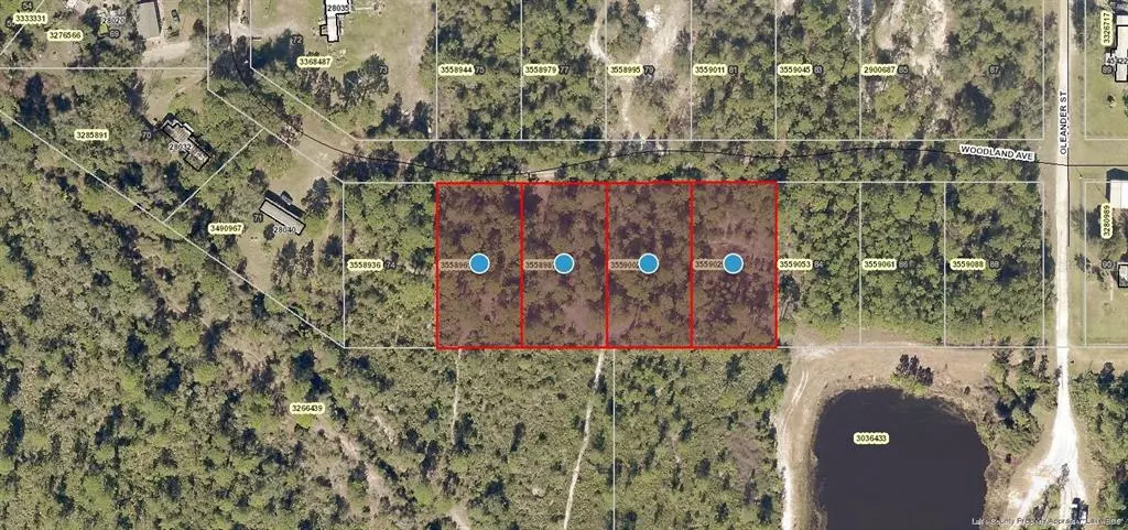 WOODLAND AVE, Paisley, FL 32767