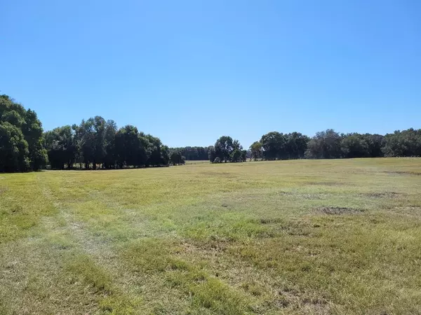 10ac NE 144TH STREET, Citra, FL 32113