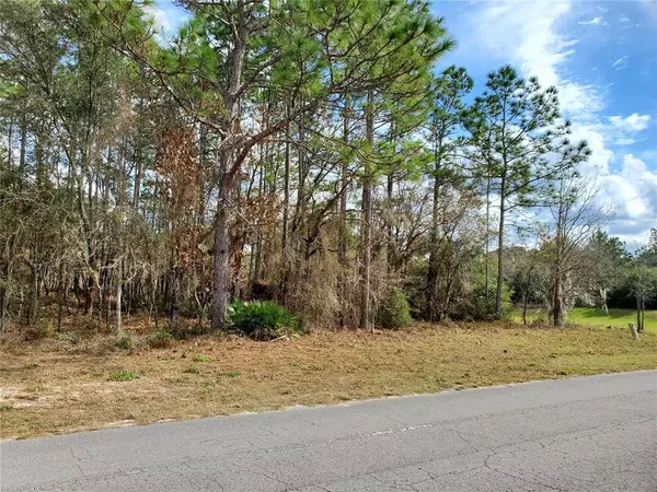 TBD MARION OAKS MNR, Ocala, FL 34473