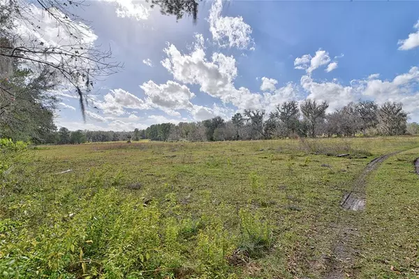 Reddick, FL 32686,0 NW 65TH AVENUE ROAD