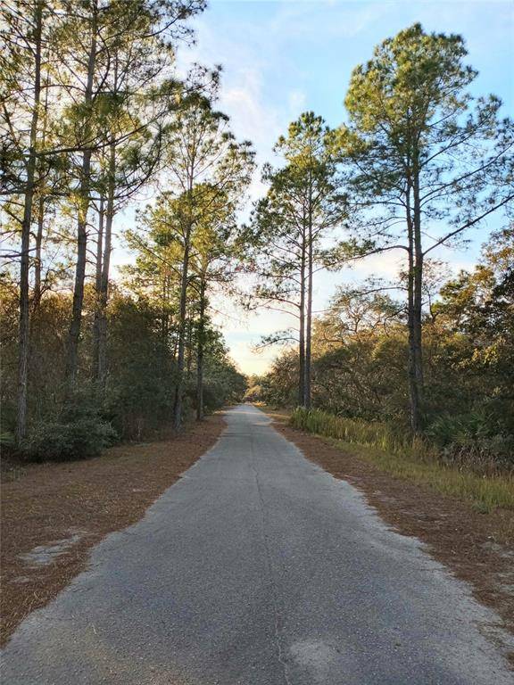 0 MALAUKA PASS TRL, Ocklawaha, FL 32179