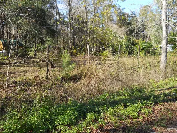 Ocala, FL 34481,Lot 11 SW 132 TER