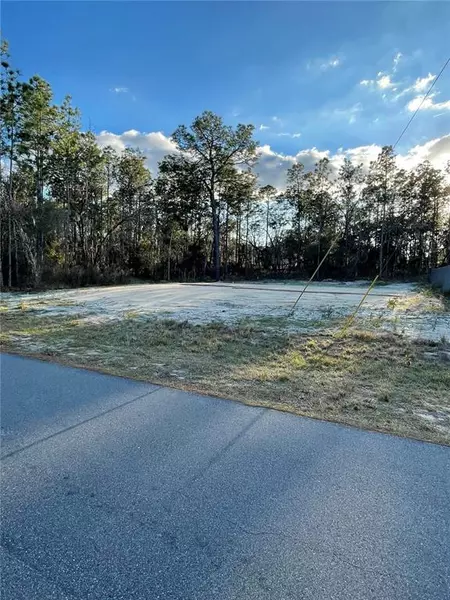 SW 73RD AVENUE RD, Ocala, FL 34473