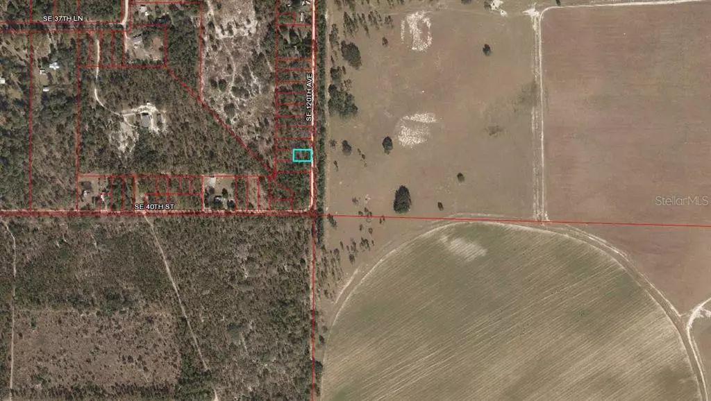 Morriston, FL 32668,SE 120 AVE