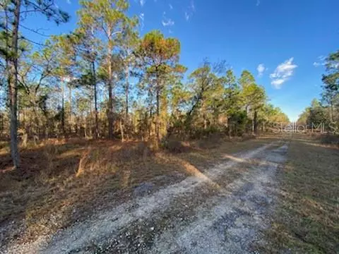 Dunnellon, FL 34431,TBD SE 130 CT