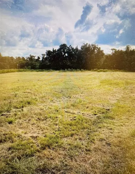 TBD RIDGE ST, Reddick, FL 32686