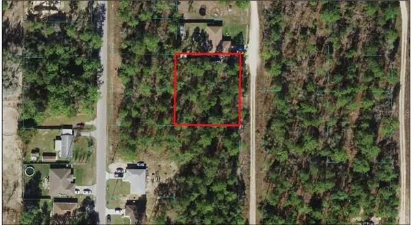 TBD SW 159TH AVE, Ocala, FL 34481