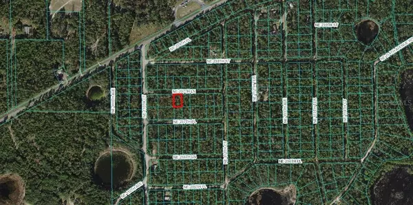 Fort Mc Coy, FL 32134,LOT 4 NE 237TH LN