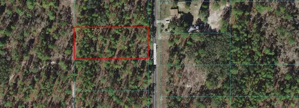 00 NW RIDGEWOOD RD, Dunnellon, FL 34431