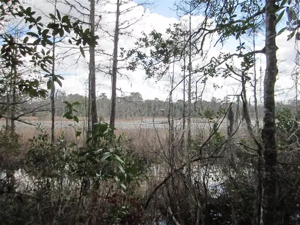 114TH AVE NE, Fort Mc Coy, FL 32134