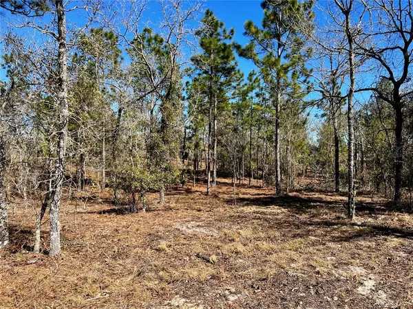 Williston, FL 32696,TBD SE 23RD PL