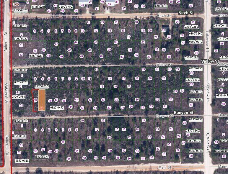Interlachen, FL 32148,00 BANVON ST
