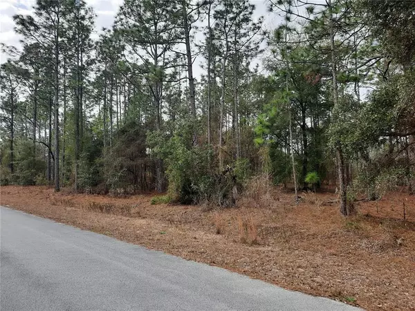 Dunnellon, FL 34431,Lot 2 SW SYLVAN HEIGHTS RD