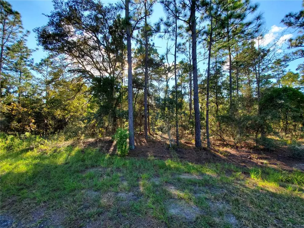 Dunnellon, FL 34431,LOT 2 SE 131 TER