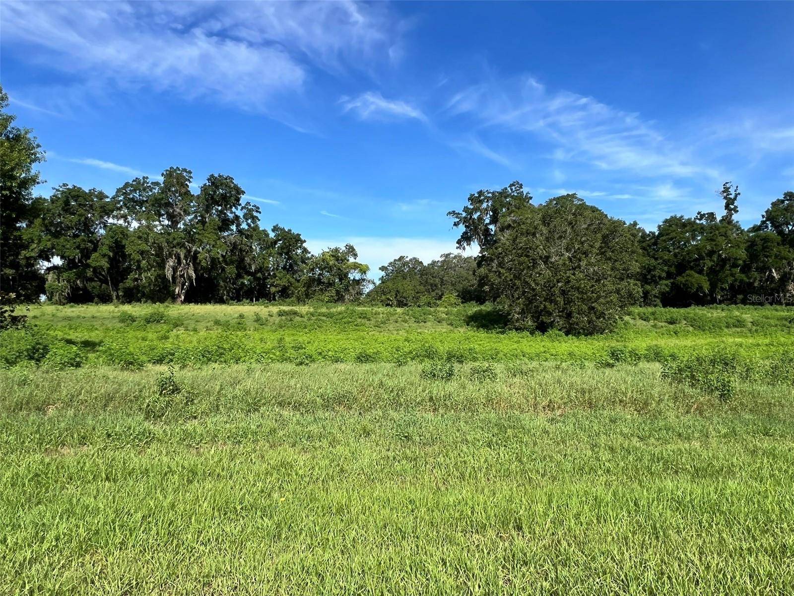 Ocala, FL 34480,0 SE 8TH AVE #Lot 5
