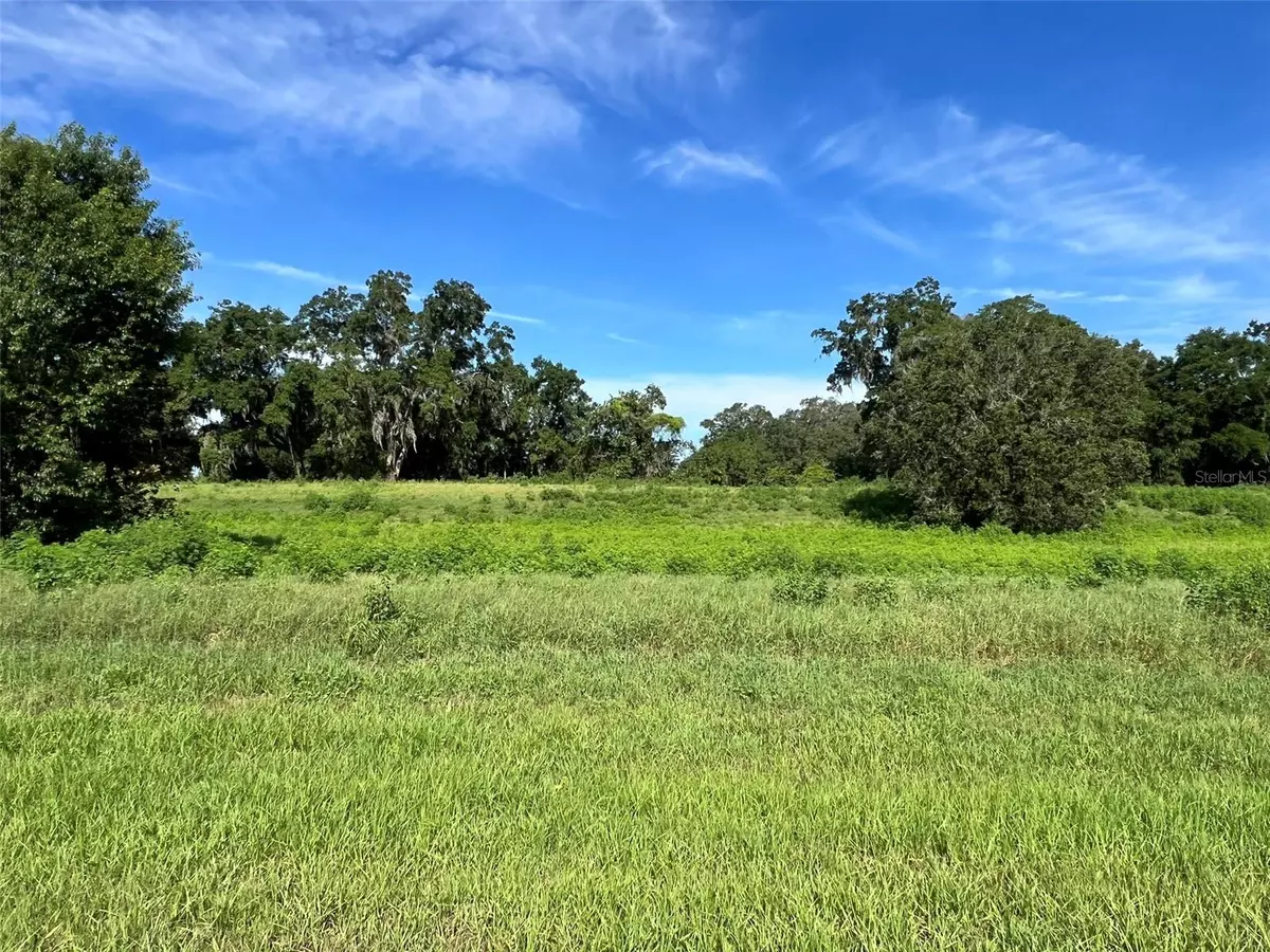 Ocala, FL 34480,0 SE 8TH AVE #Lot 5