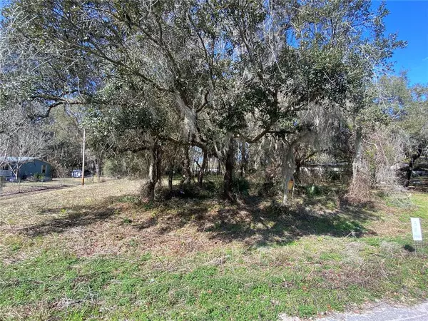 Citra, FL 32113,TBD NE 39TH CT #LOT 11