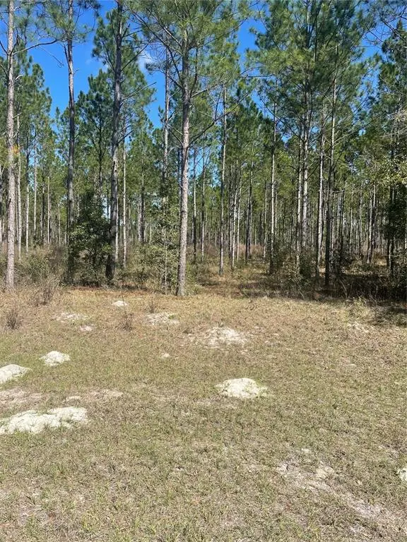 Williston, FL 32696,00 NE 160TH AVE