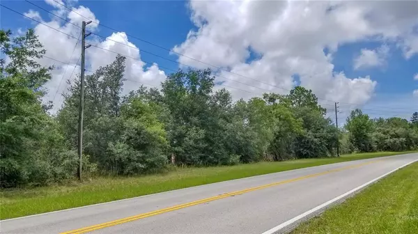 Citrus Springs, FL 34433,8170 N ELKCAM BLVD