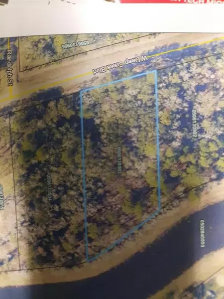 10120 BLVD, Hastings, FL 32145