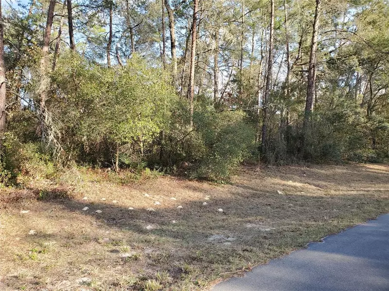 0 SW 33 TER, Ocala, FL 34473