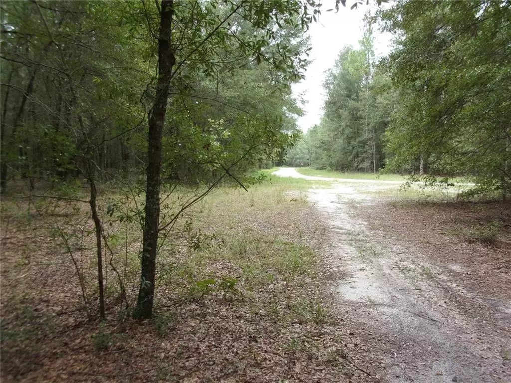 Mc Alpin, FL 32062,0000 95TH DR