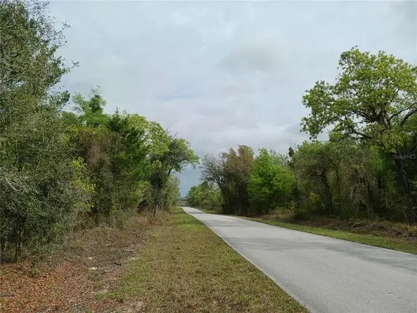 Dunnellon, FL 34431,TBD SW VIBURNUM RD