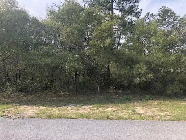 Ocala, FL 34473,0- SW 40TH TER