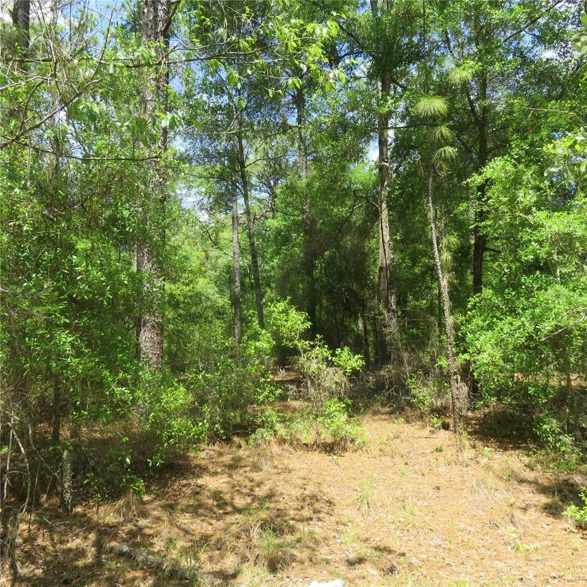 Ocala, FL 34481,00 SW 25TH PL #LOT 27