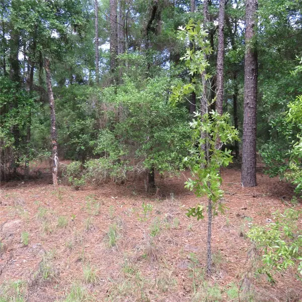 00 SW 25TH PL #Lot 29, Ocala, FL 34481