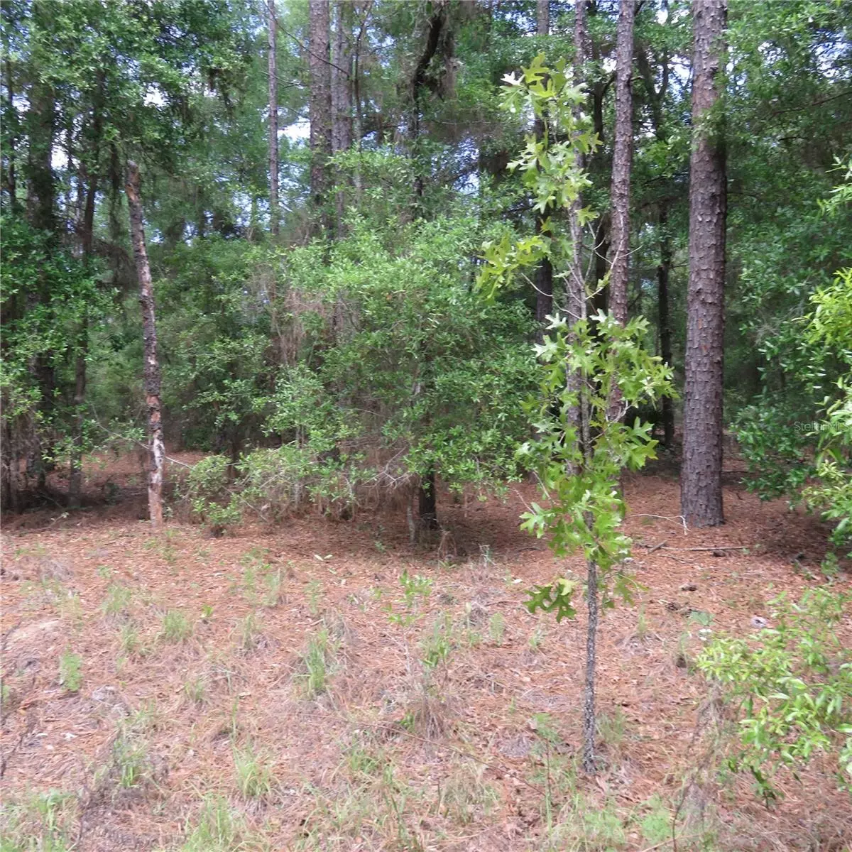 Ocala, FL 34481,00 SW 25TH PL #Lot 29