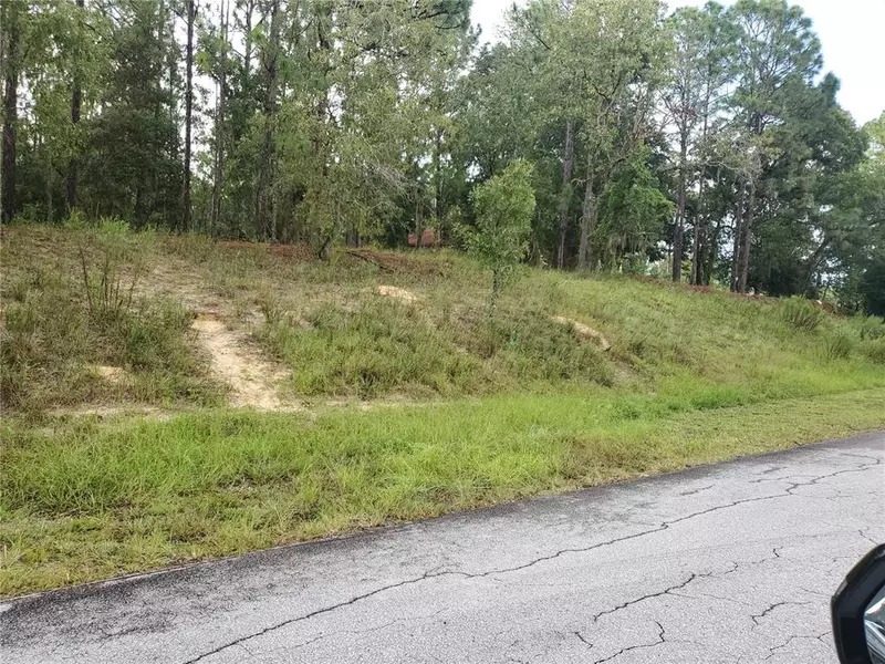 lot 91 SW 202 ND AVE, Dunnellon, FL 34432