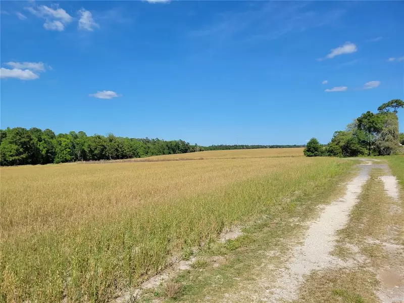 10ac (Springs @ OC #5a) E HWY 318, Fort Mc Coy, FL 32134