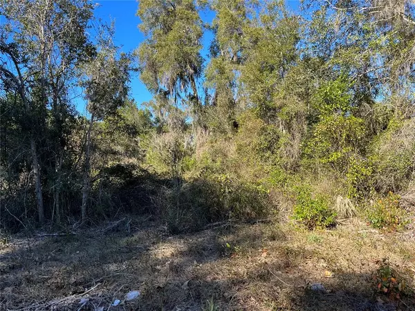 Chiefland, FL 32626,Lot 14 SW 2ND AVE