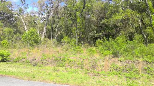 Dunnellon, FL 34431,lot 27 SW FIG TREE LN