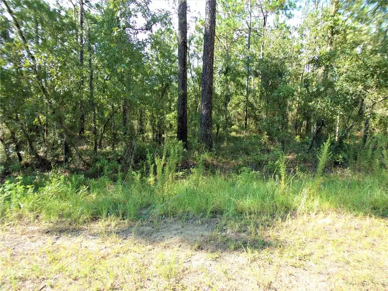 SW 96TH LN, Dunnellon, FL 34432