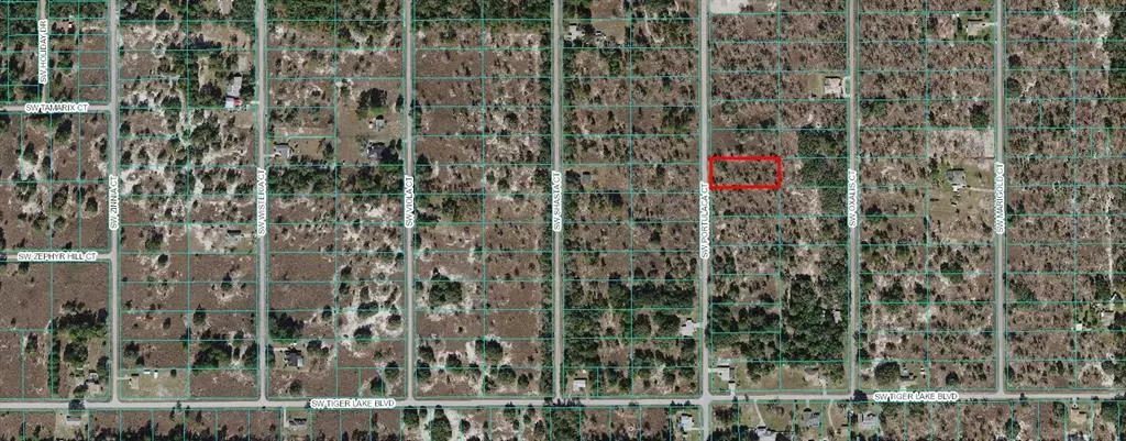 Dunnellon, FL 34431,SW PORTULACA CT