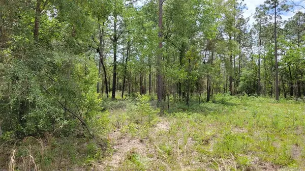 Williston, FL 32696,00 NE 17TH PL