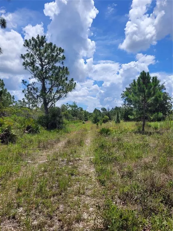 Frostproof, FL 33843,LOT 53 DAWES RD