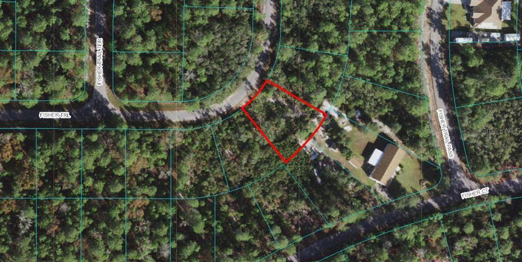 00 FISHER TRAIL, Ocklawaha, FL 32179