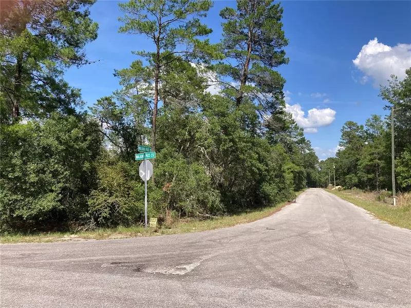 TBD MALAUKA PASS CRSE, Ocklawaha, FL 32179