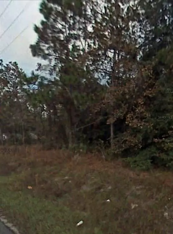 Ocala, FL 34482,LOT 16 NW 12TH LN