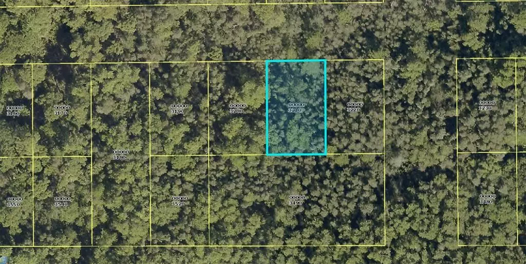 Bokeelia, FL 33922,Lot 321 PAPAYA AVE