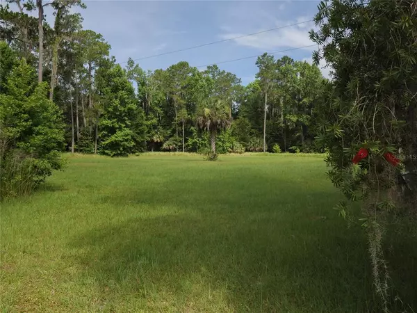 Micanopy, FL 32667,21787 NW 87TH AVENUE RD