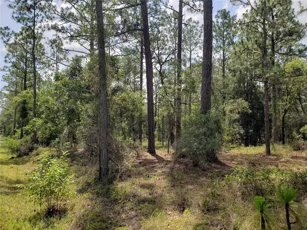 Dunnellon, FL 34431,Lot 58 NW ALVAREZ RD