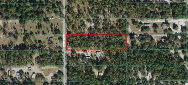 TBD SW 183RD TER, Dunnellon, FL 34432