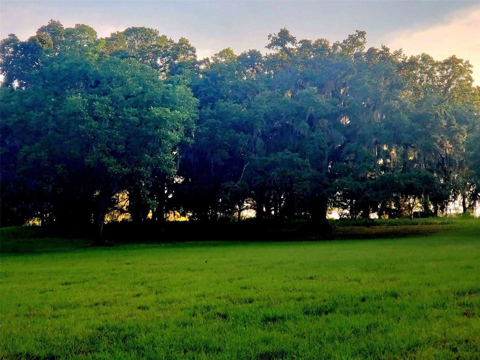1077 SW 144TH COURT RD, Ocala, FL 34481
